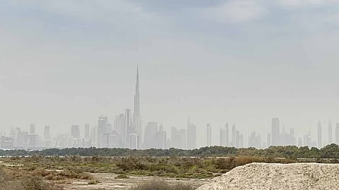 strong dust storm expected in uae