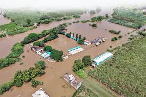 Maharashtra seeks Central government's help for flood relief