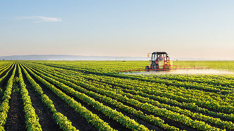 Agricultural transformation that ensures farmers' prosperity special story