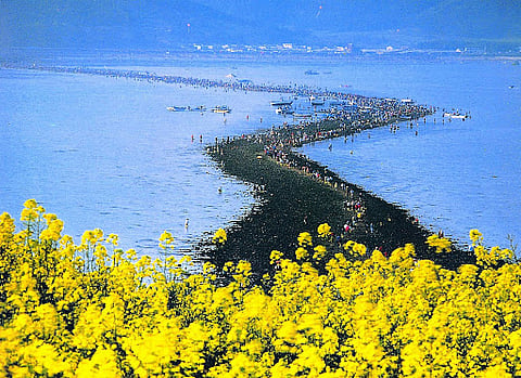 When the sea changed course
The phenomenon of tidal draw