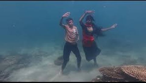 Ashwin Bala and Taragai Aradhana dancing under the sea