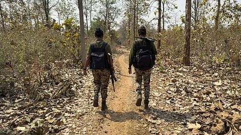 61 Naxalites surrender in Maharashtra