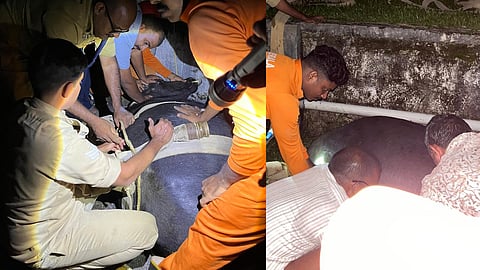 Fire and rescue buffalo trapped on third floor of building in Kothamangalam