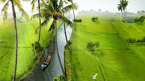 special column by sudheernath