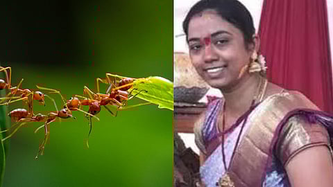 Ant phobia woman commits suicide in telangana