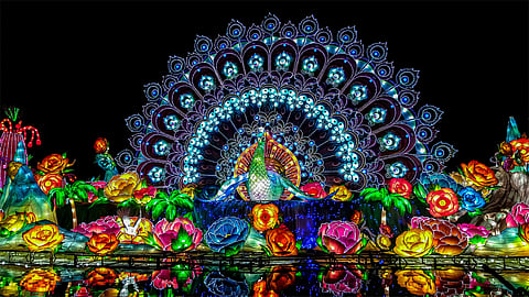 ഗാർഡൻ ഗ്ലോ ഇനി പുതിയ ഭാവത്തിൽ പുതിയ ഇടത്ത് | Dubai garden glow