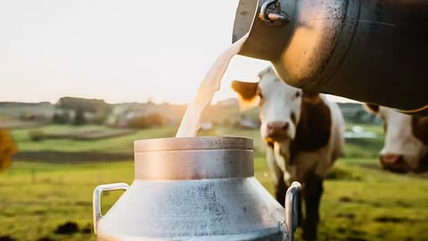 Today is National Milk Day