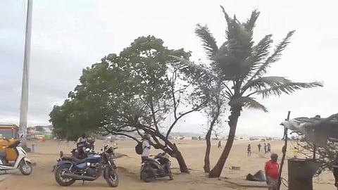 ditwah cyclone 3 death in tamil nadu