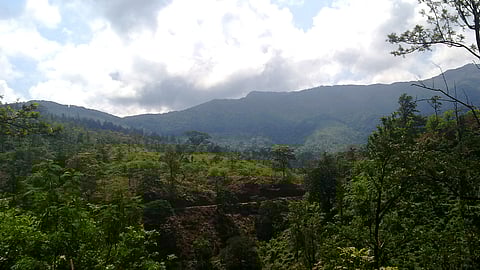 ബോണക്കാട് വനത്തിൽ കാണാതായ ഫോറസ്റ്റ് ഉദ്യോഗസ്ഥരെ കണ്ടെത്തി