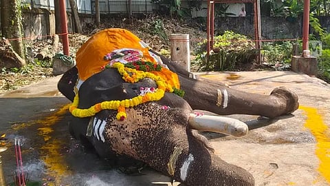 mullakkal balakrishnan dies