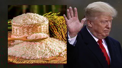 ''ഇന്ത്യയുടെ അരി യുഎസിൽ വേവില്ല'', പുതിയ താരിഫ് ഉമ്മാക്കിയുമായി ട്രംപ് | Trump against Indian rice in US market
