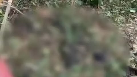 skeleton kunnamangalam kozhikode discovery