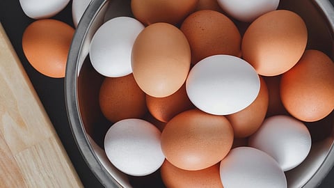 cancer causing substances in eggs karnataka to check