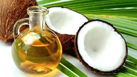 coconut oil price likely to dip