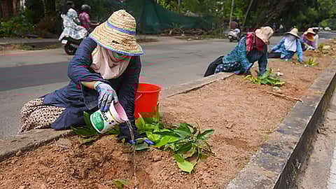 vb g ram g bill special story