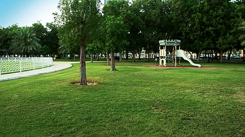 16 new public parks opened in Abu Dhabi