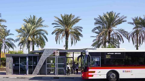 free parking for vehicle