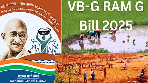 National Employment Guarantee Scheme Reform