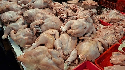 Chicken prices increase in Tamil Nadu