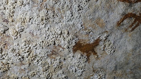 The oldest cave painting in Indonesia 67,800 years ago