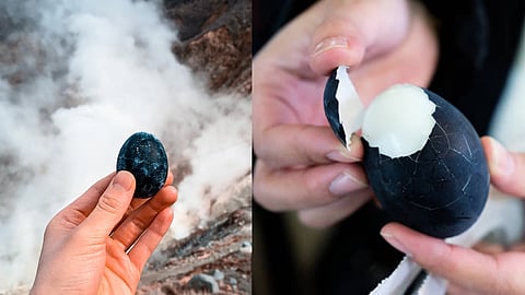 japan's black egg