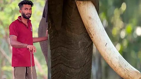 Elephant tramples father to death in Thiruvananthapuram