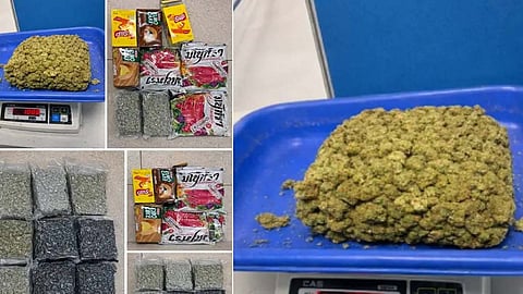 6 Malayali techies arrested for smuggling ganja worth Rs 23 crore