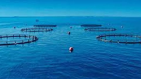 Abu Dhabi launches new project