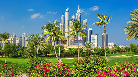 UAE Dubai greenery project