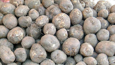 The koorkha can be easily cleaned