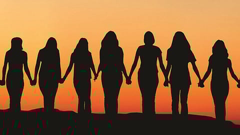 'She-Box Portal' a digital shield for women's safety in the workplace