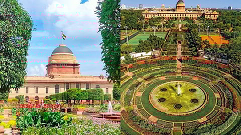 Delhi's Amrit Garden