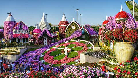 Dubai attractions offer free entry