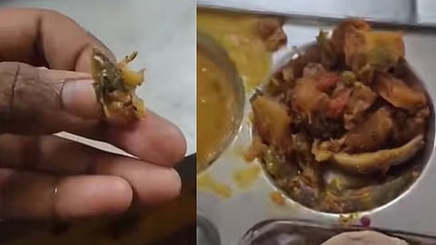 'Lizard' in food, canteen staff claimed its capsicum and eat it