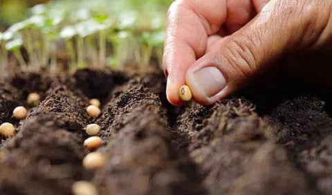 Self-reliance seed sector crucial initiative BBSSL