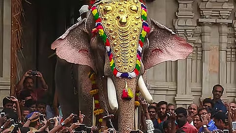 Thechikkottukavu Ramachandran thrissur pooram