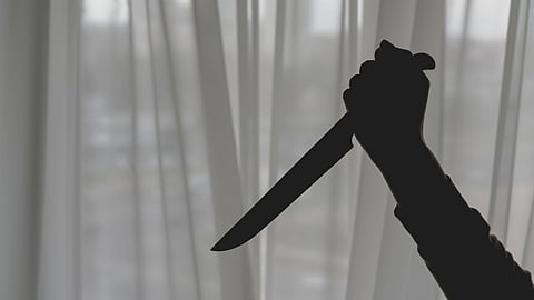 husband stabbed wife to death kolkata
