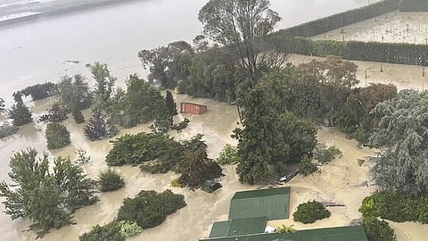 cyclone lashes new zealand high alert