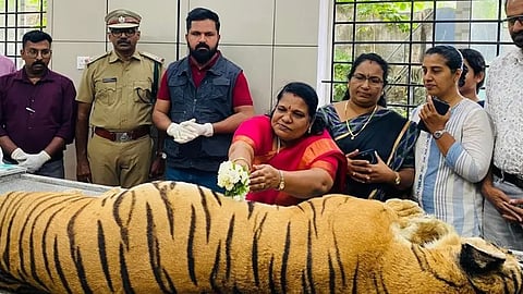 tiger died in thiruvananthapuram zoo