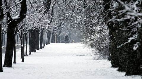 Hundreds blocked on Croatia roads as snowstorm spurs chaos