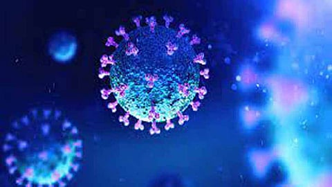 Covid virus