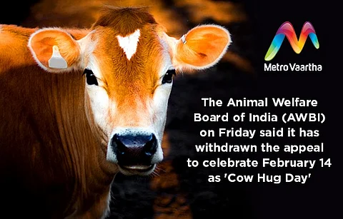 Animal Welfare Board withdraws appeal to celebrate Feb 14 as 'Cow Hug Day'