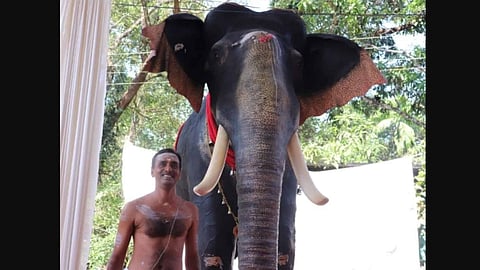Kerala temple introduces mechanical elephant for performing rituals