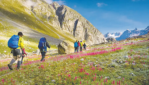 Trekking , Representative image