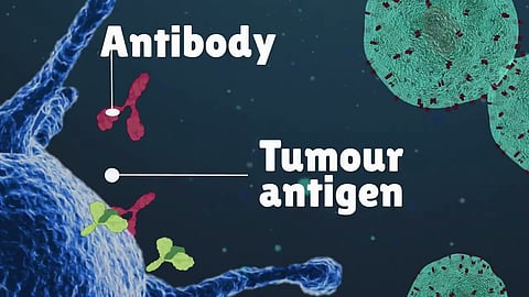 What are these ‘cancer vaccines' I'm hearing about? And what similarities do they share with COVID vaccines?