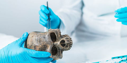 Oldest human genome recovered from southern Spain: Study