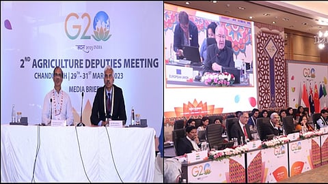 Sustainable agriculture, food security, climate-smart approach focus areas at G20 deputies meeting