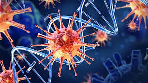 Covid Virus