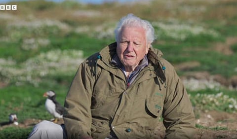 BBC under fire over Attenborough episode, sports presenter Lineker's Twitter row