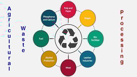 Cost-effective agro-waste leather to substitute toxic synthetic products